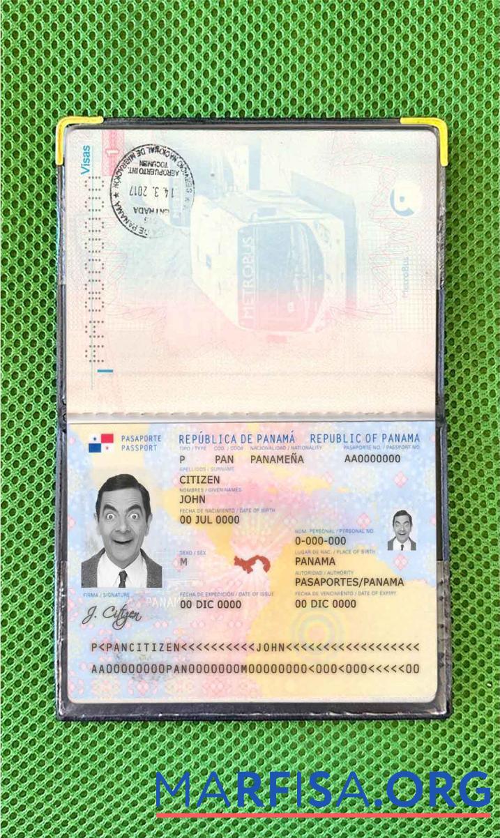 Realistic Panama passport photo look sample
